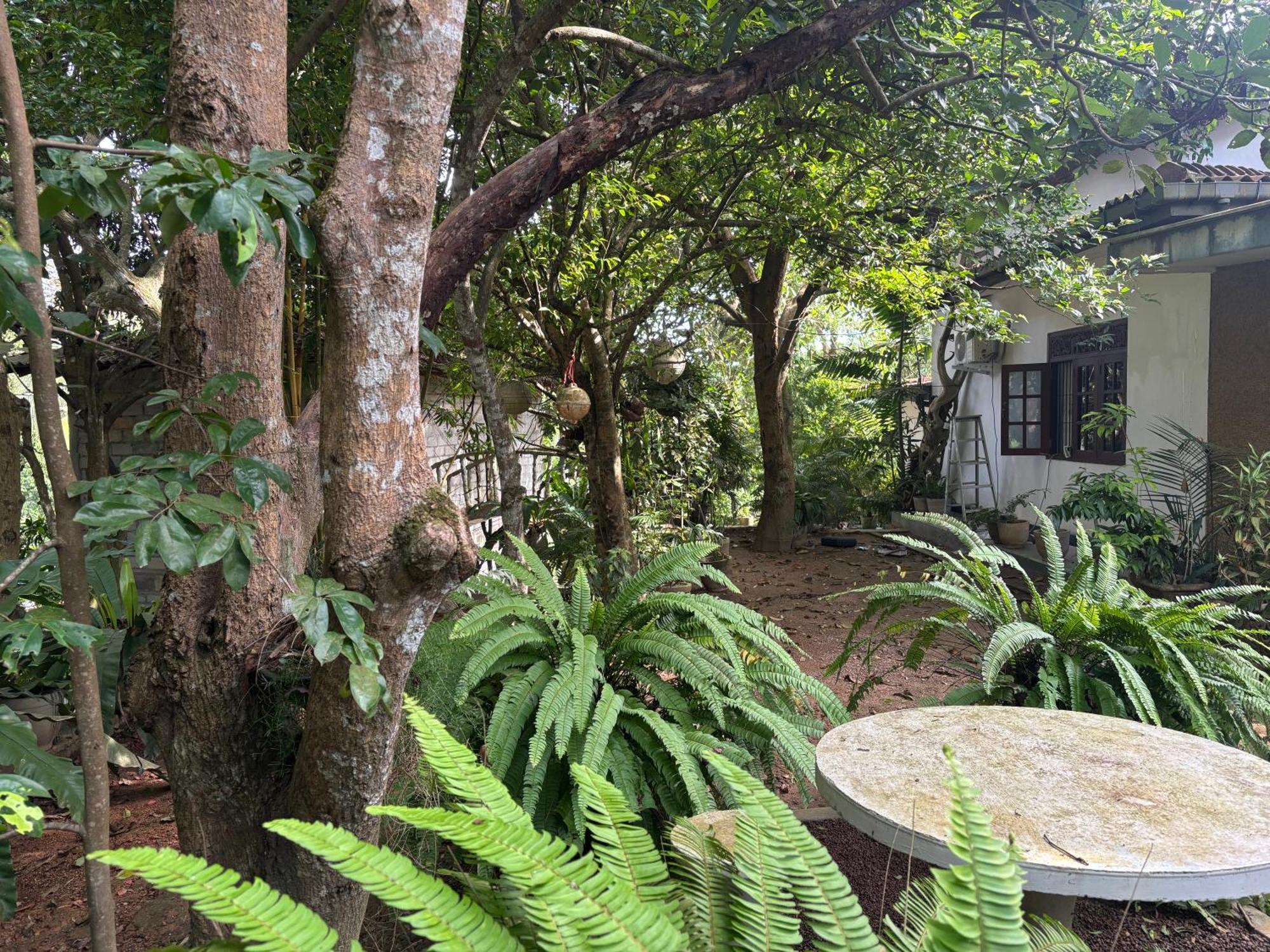 Eco Garden Hiriketiya 호텔 디크웰라 외부 사진