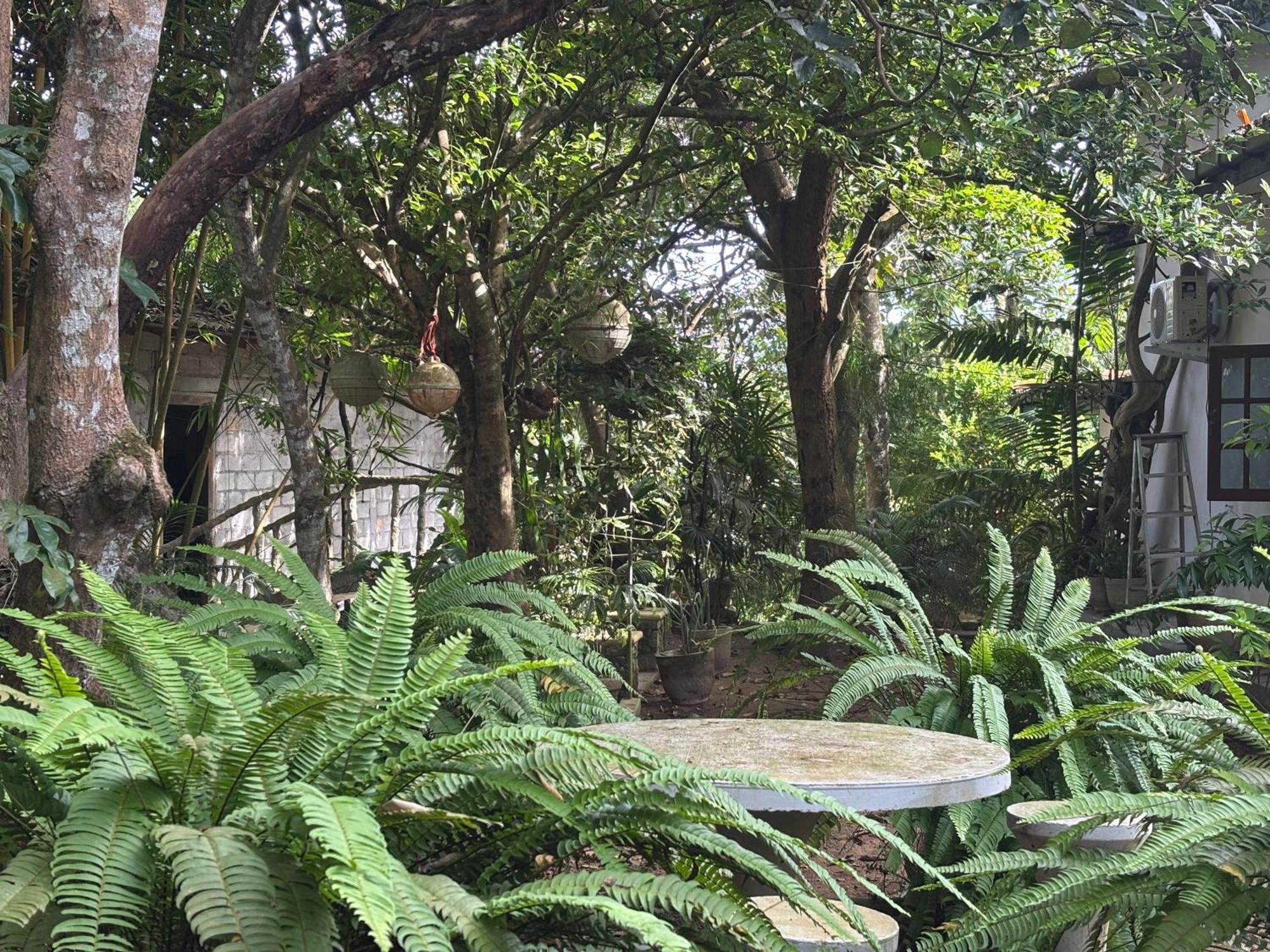Eco Garden Hiriketiya 호텔 디크웰라 외부 사진