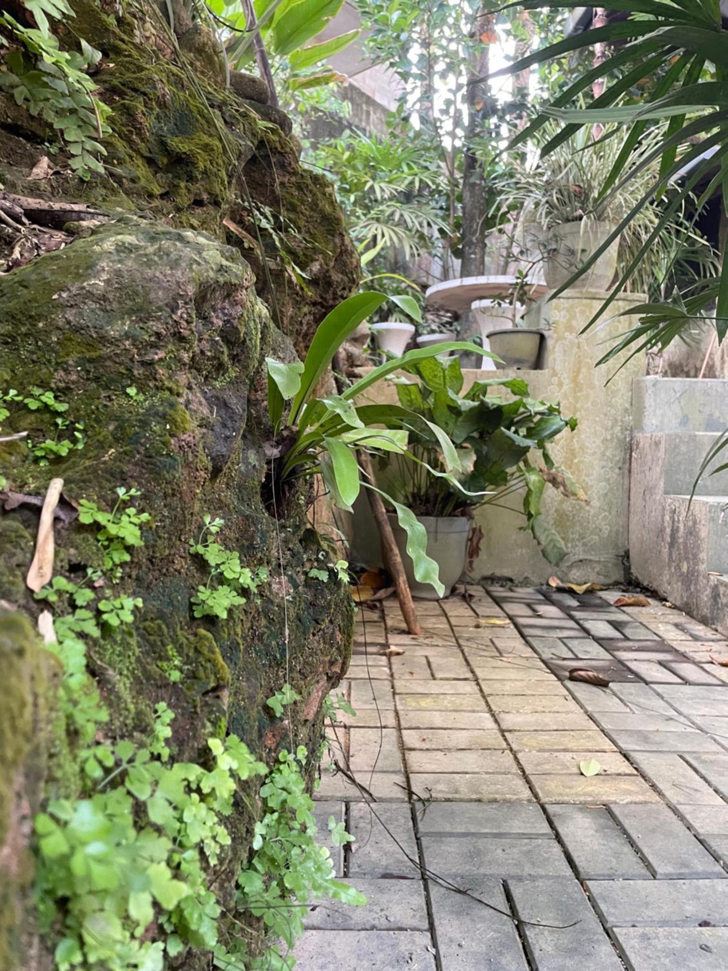 Eco Garden Hiriketiya 호텔 디크웰라 외부 사진
