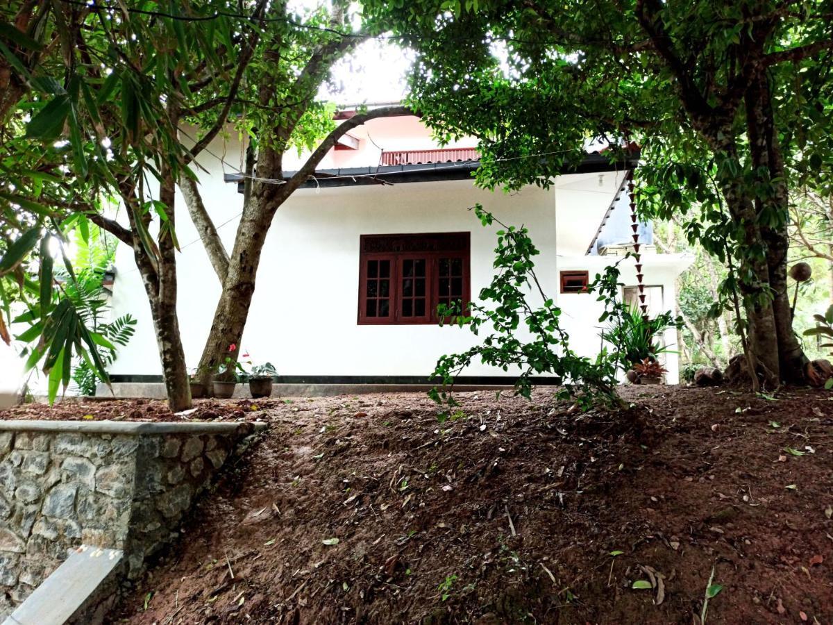 Eco Garden Hiriketiya 호텔 디크웰라 외부 사진